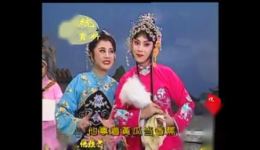 评剧《花为媒:花园》高闯朱怀旭李金铭主演，经典评剧全场资源下载下载