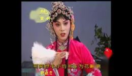 评剧《花为媒:骂俊卿》高闯精彩演绎选段,经典戏曲在线下载 评剧《花为媒:骂俊卿》高闯精彩演绎选段,经典戏曲在线下载
