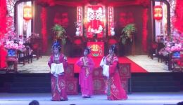 孔雀东南飞上集