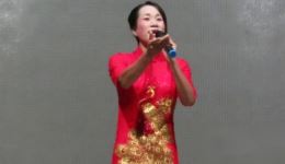 孔雀东南飞.人去楼空寂寂