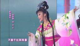 天女散花