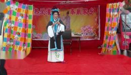 孟月红割股