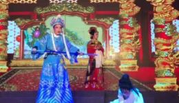 狸猫换太子·拷寇