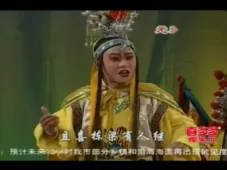 元帅审皇帝