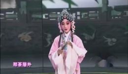 宗念一、周蔚青演绎昆曲《牡丹亭》选段,经典唱腔展现至情之美 宗念一、周蔚青演绎昆曲《牡丹亭》选段,经典唱腔展现至情之美