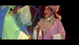 丁丁腔经典剧目《续缘》在线观看，领略微山湖下载