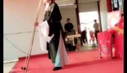 庐剧休丁香