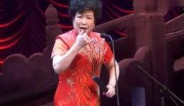 河南坠子《王二姐思夫》刘瑞莲演唱，经典传统曲艺，深情演绎思夫情怀下载