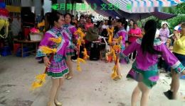兴义花灯戏《花月舞动佳人》文艺队正版下载,传统花灯戏资源一键获取 兴义花灯戏《花月舞动佳人》文艺队正版下载,传统花灯戏资源一键获取