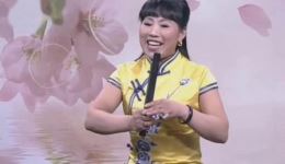 胡银花河南坠子《刘公传奇》高清资源下载，经典戏曲全本呈现下载