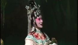 春蕾白字戏《白蛇传》上集下载｜经典白字戏传统剧目在线获取