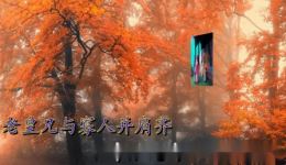 打金枝