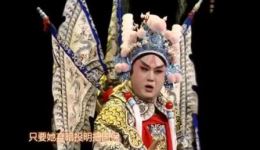 岳阳巴陵戏《樊梨花》片段在线观看，经典巴陵戏演绎巾帼传奇