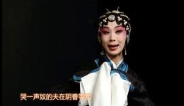 岳阳巴陵戏折子戏《三娘教子》在线观看下载，经典传统剧目高清资源