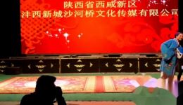 黄梅戏《夫妻双双把家还》高清下载｜经典唱段完整收录，上官、魏快活精彩演绎下载