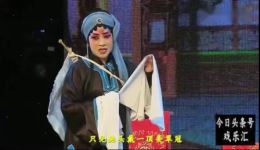 杨秀英告状