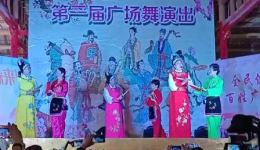 黄梅戏《扮皇帝》高清下载姜月娇陶丽华胡饶萍经典演绎，重温经典戏曲魅力下载