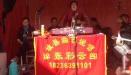 豫东琴书《大宋六美金侠记》张彩云演唱 传统侠义经典戏曲在线下载