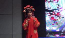 越剧《两地同房》薛惠荣王春琦主演经典演绎，洞房情韵戏曲资源下载下载