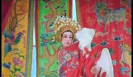 粤西木偶白戏下载传统杖头木偶戏，白话唱腔演绎经典，非遗戏曲资源速取