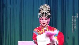 花墙会