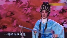 红楼梦之黛玉葬花