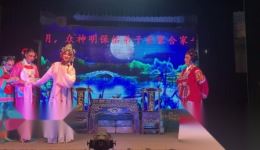 歌仔戏《兄弟双巡按》上集高清下载 - 庄必芳王志斌主演经典剧目资源下载