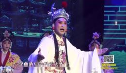 蒲剧经典《狸猫换太子》全本下载 - 高清戏曲资源 弘扬正义大戏 蒲剧经典《狸猫换太子》全本下载 - 高清戏曲资源 弘扬正义大戏