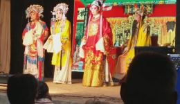 打金枝（绑子上殿）