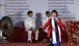 潮剧《挺身迎风暴》谭小凤主演 正版戏曲资源下载 精彩剧情全收录下载