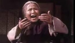 现代京剧样板戏经典唱段17首全集下载，智取威虎山红灯记沙家浜选段合集