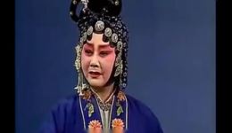 张连卖布