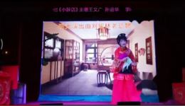 庐剧《小辞店》选段下载，王文广精彩演绎，纯正地方戏曲资源免费获取下载