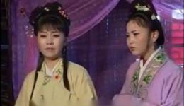 庐剧《金锁记》- 刘长芬、朱德顺联袂演绎经典爱情传奇下载