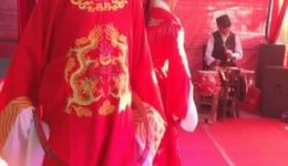 庐剧《双女让夫》选段下载，王文广精彩演绎，感受传统戏曲魅力下载
