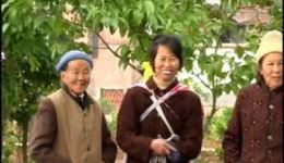 送我表妹一枝花