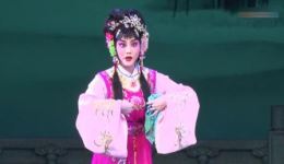京剧《春草闯堂》在线观看下载 - 经典戏曲资源一键获取