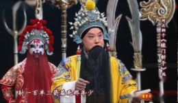 河北梆子《辕门斩子》王少华演绎，银派嫡传经典，在线下载全剧资源下载