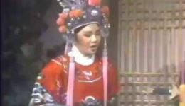 杨丽花歌仔戏《杨家将》全集下载，经典杨家将故事戏曲资源，高清正版歌仔戏在线观看下载