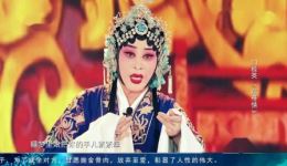 河北梆子《慈母情》选段在线观看 门桂英演绎母爱催泪 经典戏曲片段免费欣赏