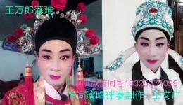 庐剧《王万郎落难》王文广精彩演绎，经典戏曲在线下载，沉浸式感受传统庐剧魅力下载