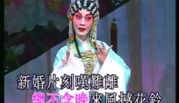 粤剧折子戏《三夕恩情廿载情》凌东明蒋文端联袂演绎，在线观看下载！下载
