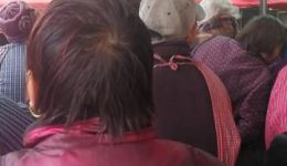 通剧《打莲花》在线观看 - 经典民间说唱戏曲资源下载