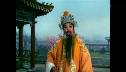 金枝玉叶