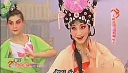 芙蓉花仙