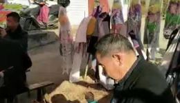 衡阳花鼓戏《四川调》经典唱腔在线下载，高亢激越旋律领略传统戏曲魅力