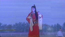 三试浪荡子 喜鹃 珍珠塔选段
