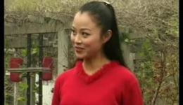柳琴戏《情断桃花岛》全集下载 - 姬光荣姚秀云主演经典戏曲资源