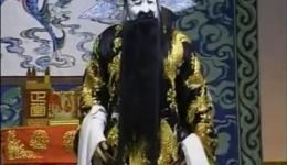 王华买爹