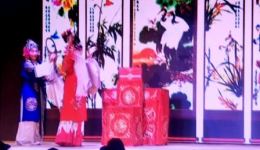 安国老调《哑女告状》片段下载 - 王蕾领衔主演经典戏曲资源